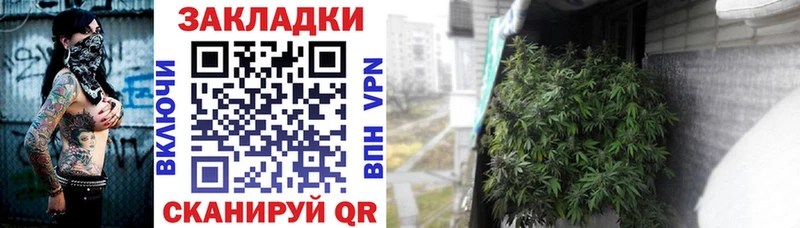 Купить наркоту Волгореченск Амфетамин Канабис