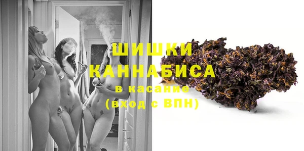 прущие грибы Бородино