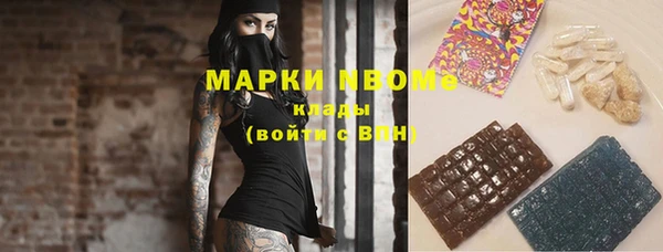 прущие грибы Бородино