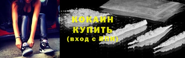 прущие грибы Бородино