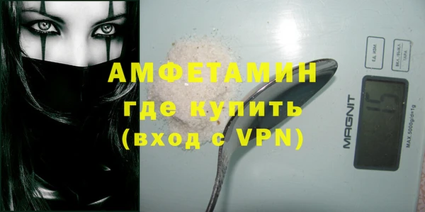 прущие грибы Бородино