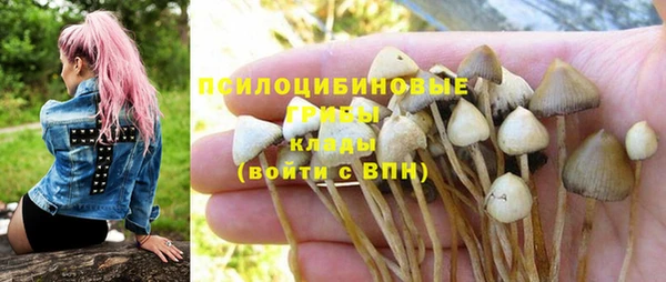 крисы Бронницы
