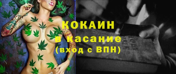 прущие грибы Бородино