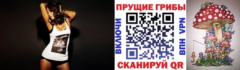 Псилоцибиновые грибы Magic Shrooms  Волгореченск 